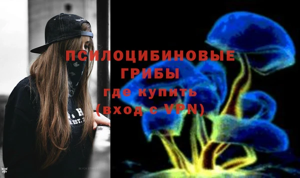 альфа пвп Гусиноозёрск