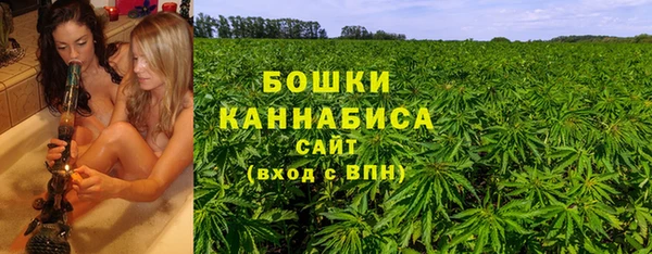 a pvp Гусь-Хрустальный