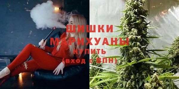 a pvp Гусь-Хрустальный