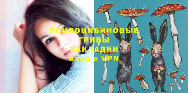 альфа пвп Гусиноозёрск