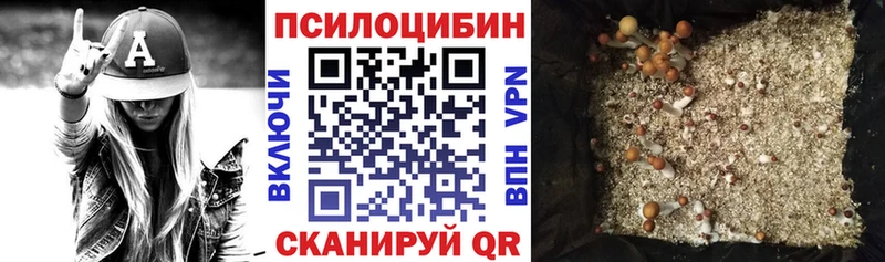 Купить где  Неман  Галлюциногенные грибы Cubensis 